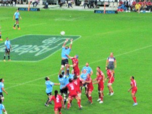 New South Wales Waratahs vs. Queensland Reds